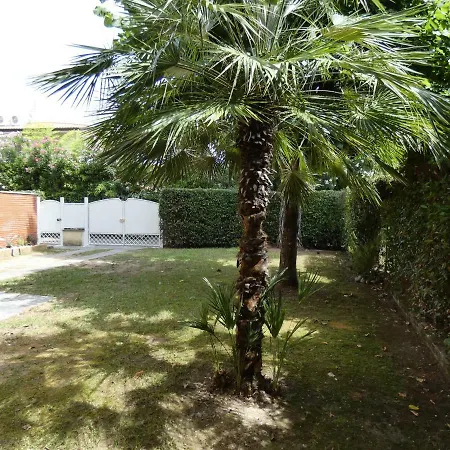Allende In Dei Marmi Forte dei Marmi