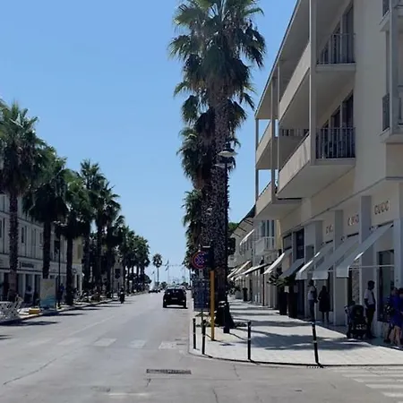 Allende In Dei Marmi * Forte dei Marmi