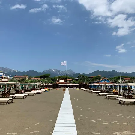 Allende In Dei Marmi *